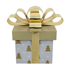 Giant Gift Box - Gold + Silver  ​P-PH142-GW