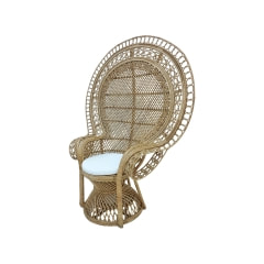 Eloria Chair - Natural F-AC203-NT