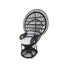 Peacock Chair - Black F-AC204-BL