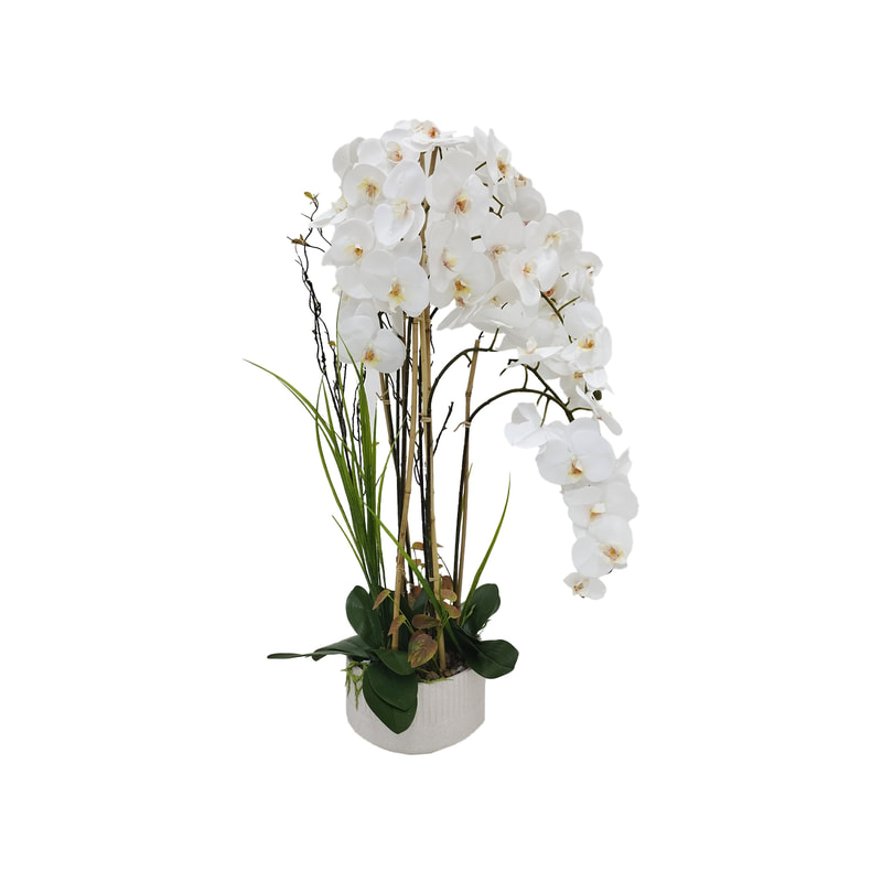 P-AP102-WH 113cm high potted orchid with white blossoms
