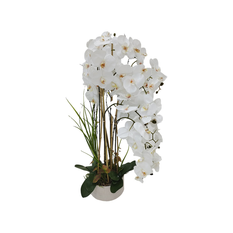 P-AP102-WH 113cm high potted orchid with white blossoms