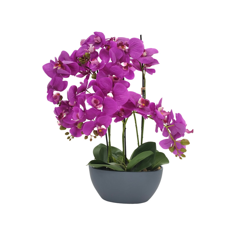 P-AP103-HP 65cm high potted orchid with hot pink blossoms