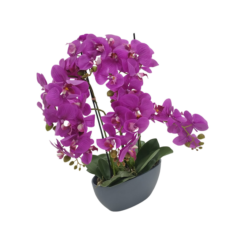 P-AP103-HP 65cm high potted orchid with hot pink blossoms
