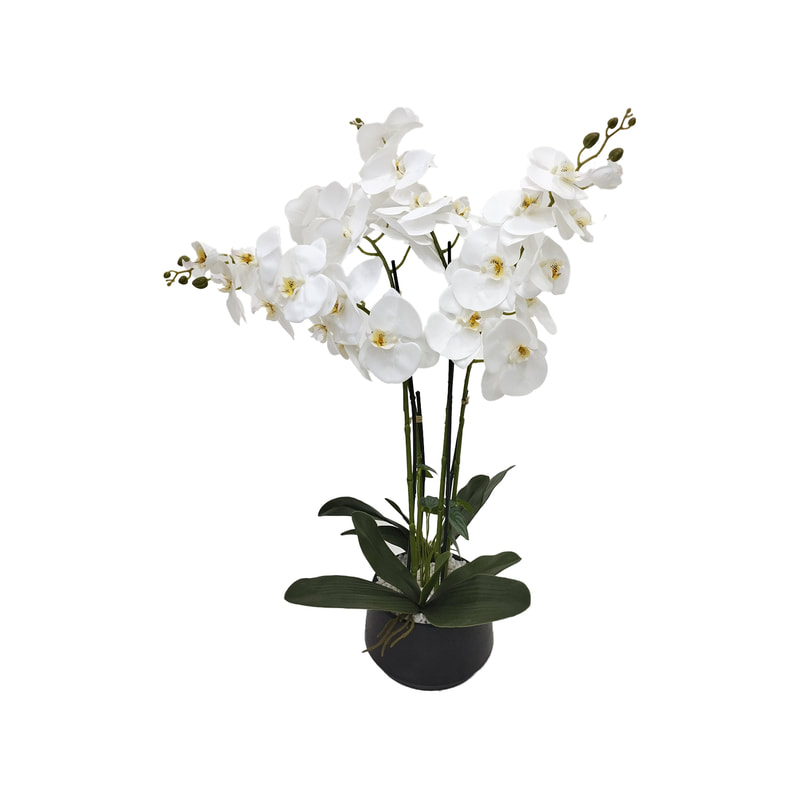 P-AP105-WH 89cm high potted orchid with white blossoms