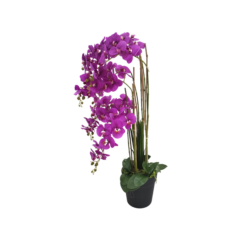 P-AP106-HP 130cm high potted orchid with hot pink blossoms