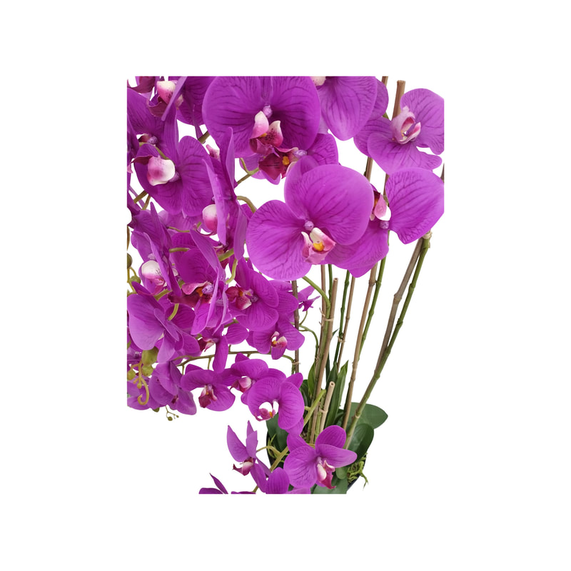 P-AP106-HP 130cm high potted orchid with hot pink blossoms