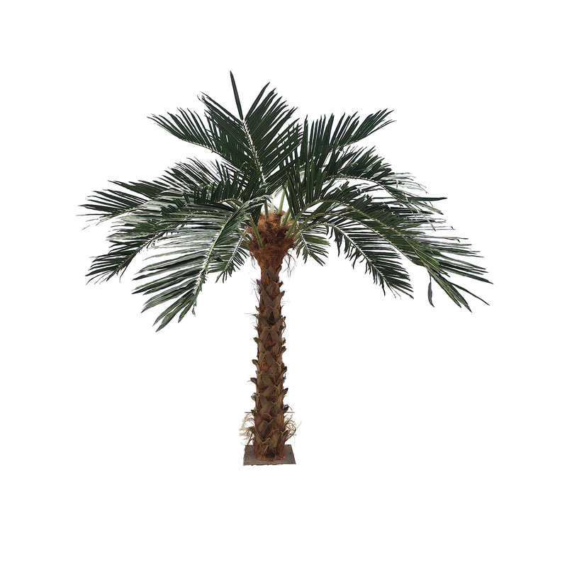 P-AT101-NT 3.5m high 'Nearly natural' straight palm tree