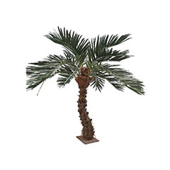 Shaped Date Palm - 3.5m P-AT102-NT