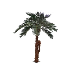 Date Palm - 4m P-AT103-NT