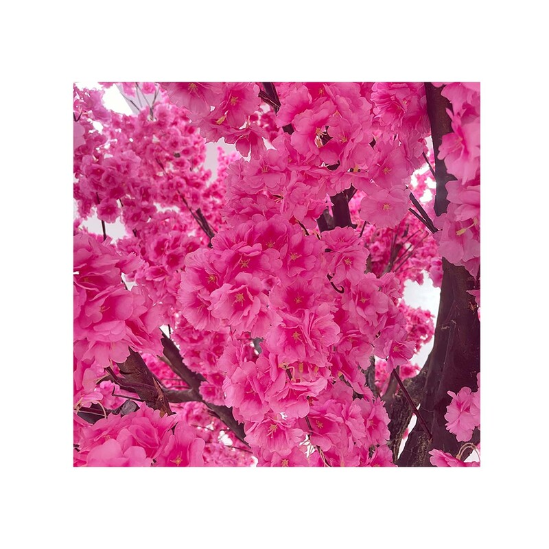 P-AT106-HP 3.4m high artificial Peach tree with hot pink blossoms