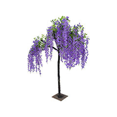 Wisteria Tree - 2.4m - Purple ​P-AT112-PR