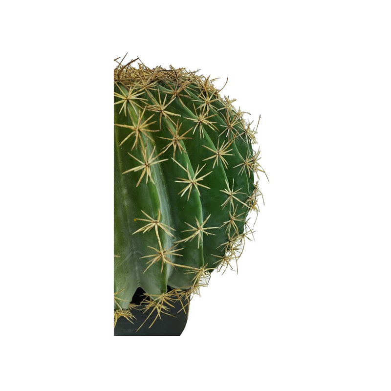 P-CA101-NL 45cm high 'nearly natural' golden ball cactus