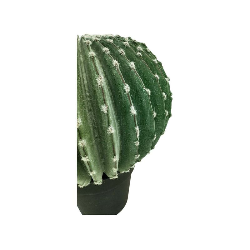 P-CA102-NT 45cm high 'nearly natural' domino ball cactus