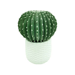 Domino Cactus - 45cm + Kirsten Pot - 30cm dia - White  ​​P-CA102-NT + P-PT135-WH