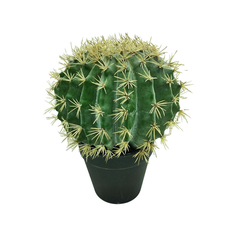 P-CA103-NT 25cm high 'nearly natural' ball cactus