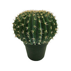 Ball Cactus - 45cm ​P-CA104-NTPicture