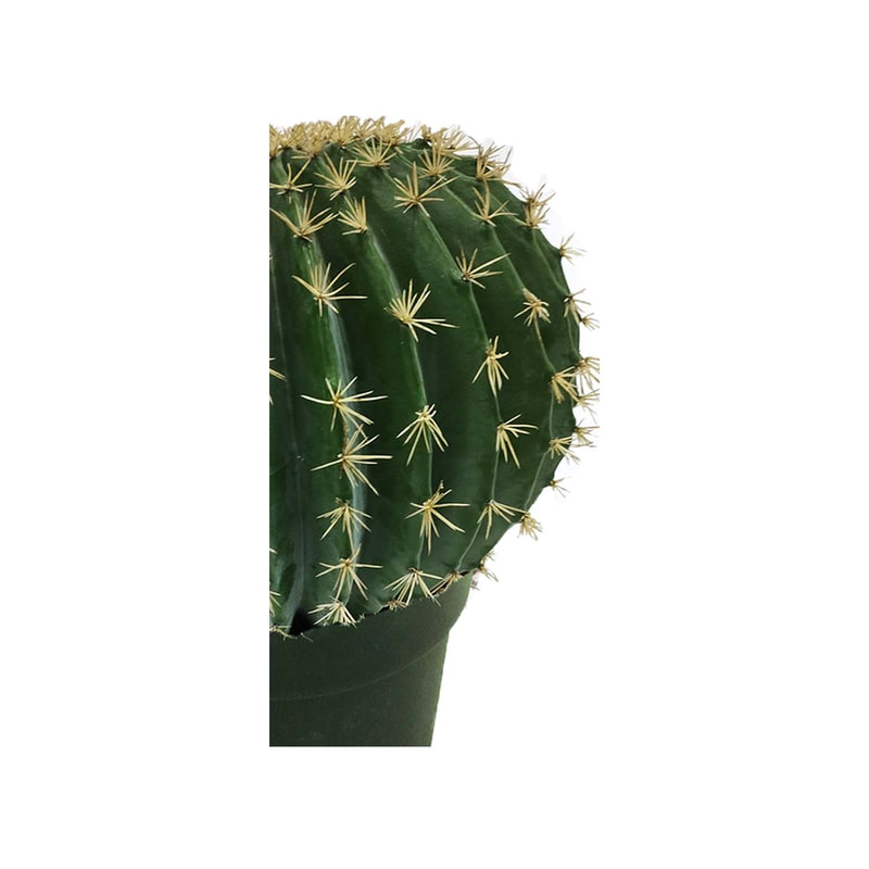 P-CA104-NT 45cm high 'nearly natural' ball cactus
