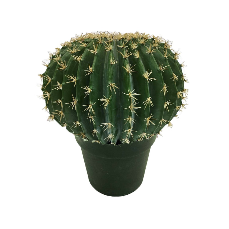 P-CA104-NT 45cm high 'nearly natural' ball cactus