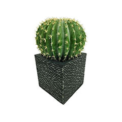 Ball Cactus - 45cm ​+ Medellin Pot - 38cm - Black ​​P-CA104-NT + P-PT157-BL