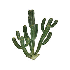 Cereus Cactus - 70cm  ​P-CA105-NT