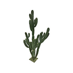 Cereus Cactus - 168cm ​​​P-CA106-NT
