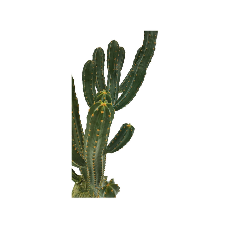 P-CA106-NT 168cm high Cereus 'nearly natural' cactus tree 
