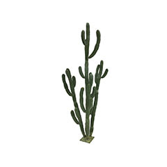 Cereus Cactus - 254cm ​​P-CA107-NT