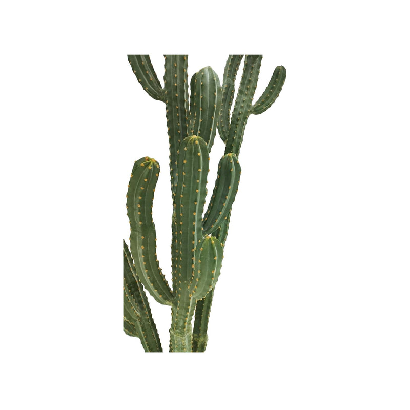P-CA107-NT 254cm high Cereus 'nearly natural' cactus tree 