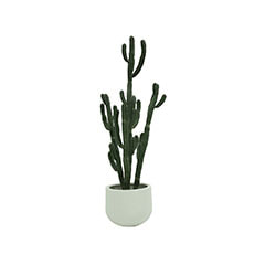 Cereus Cactus - 254cm + Plymouth Pot - 40cm dia - White P-CA107-NT + P-PT123-WH