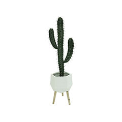​Toothpick Cactus - 101cm   + Giverny Pot - 33cm - White  ​P-CA108-NT + P-PT139-WH