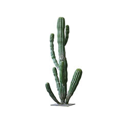 Saguaro Cactus - 165cm ​P-CA112-NT