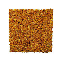 Flower Wall - Orange ​P-DP101-OR