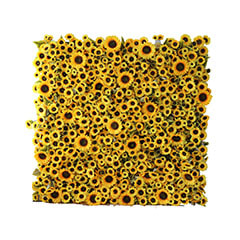 Flower Wall - Yellow ​P-DP108-YL