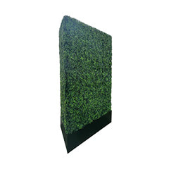 Tall Box Hedge - Green P-DP250-GR