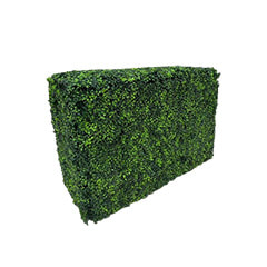 Short Box Hedge - Green P-DP251-GR