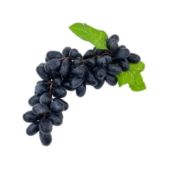 Grape - 23cm - Black P-FA104-BL