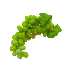 Grape - 29cm - Green P-FA105-GR