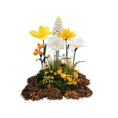 Giant Flowers - Yellow + White ​ ​P-FK851-YW