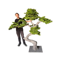 Bonsai Pine Tree - Type 3 ​P-NN132-NT