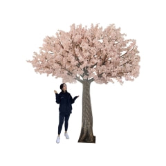 Cherry Blossom Tree - 3.4m - Light Peach  ​P-AT106-LP