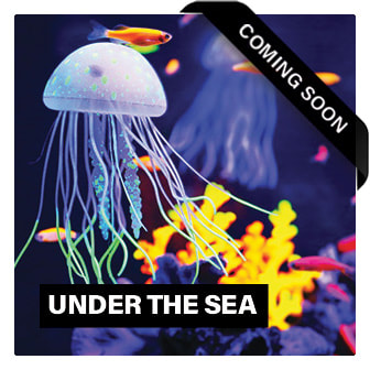 Under The Sea Theme Event