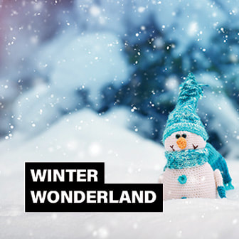 Winter Wonderland Theme Event